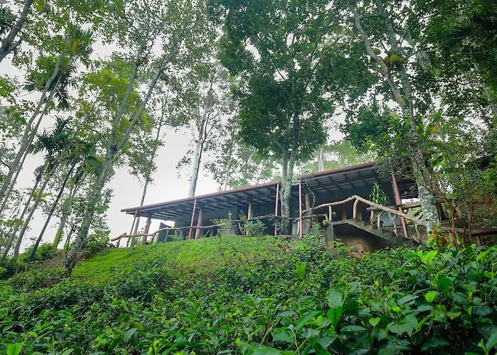 The Spice Lodge