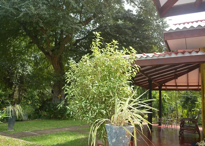 Amazon Cabanas