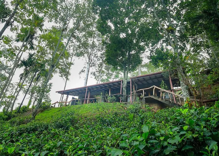 The Spice Lodge