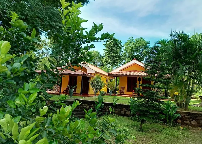 Amazon Cabanas
